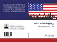 Copertina di It's Not Just the Economy, Stupid!