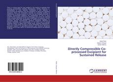 Portada del libro de Directly Compressible Co-processed Excipient for Sustained Release