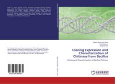 Cloning Expression and Characterization of Chitinase from Bacillus的封面