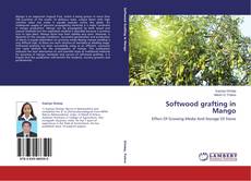 Couverture de Softwood grafting in Mango
