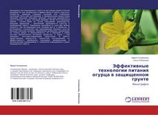 Couverture de Эффективные технологии питания огурца в защищенном грунте