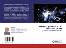 Волна горения СВС во внешних полях的封面