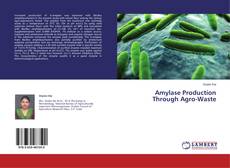 Copertina di Amylase Production Through Agro-Waste