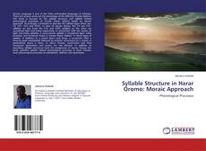 Syllable Structure in Harar Oromo: Moraic Approach的封面