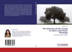 Couverture de The Doctrine of the Trinity in John's and Paul's Theology