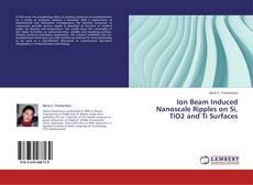 Copertina di Ion Beam Induced Nanoscale Ripples on Si, TiO2 and Ti Surfaces