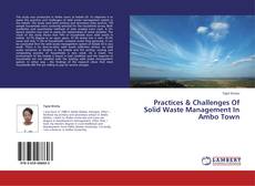 Bookcover of Practices & Challenges Of Solid Waste Management In Ambo Town