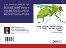 Copertina di Scale insects and mealybugs infesting mango trees in Egypt