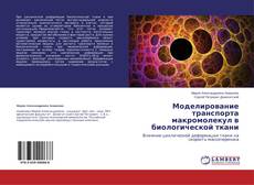 Buchcover von Моделирование транспорта макромолекул в биологической ткани