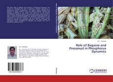 Role of Bagasse and Pressmud in Phosphorus Dynamics的封面