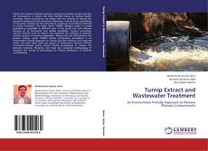 Couverture de Turnip Extract and Wastewater Treatment
