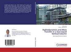 Capa do livro de Hydrodynamics and Mass Transfer in a Gas-Liquid Vertical Column 