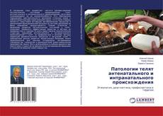 Couverture de Патологии телят антенатального и интранатального происхождения