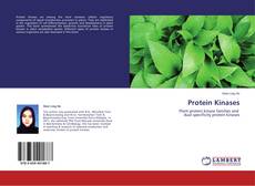 Bookcover of Protein Kinases