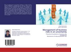 Buchcover von Management of business risks in an uncertainty