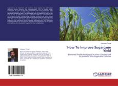 Buchcover von How To Improve Sugarcane Yield