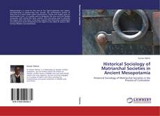 Capa do livro de Historical Sociology of Matriarchal Societies in Ancient Mesopotamia 