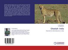 Buchcover von Cheetah- India