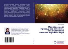 Portada del libro de Макроконцепт «природные явления», как отражение наивной картины мира