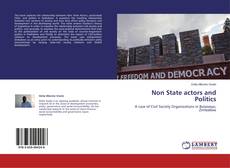 Buchcover von Non State actors and Politics