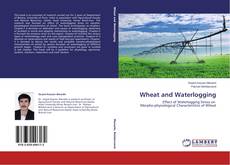 Capa do livro de Wheat and Waterlogging 