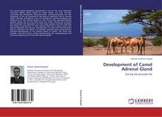Capa do livro de Development of Camel Adrenal Gland 