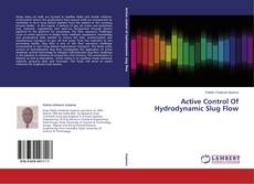 Couverture de Active Control Of Hydrodynamic Slug Flow