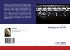 Copertina di Bridging The Divide