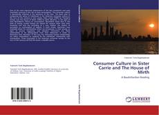 Couverture de Consumer Culture in Sister Carrie and The House of Mirth