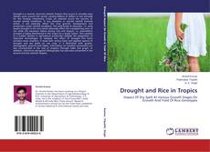 Copertina di Drought and Rice in Tropics