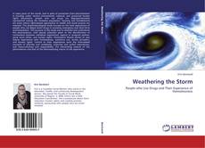 Buchcover von Weathering the Storm