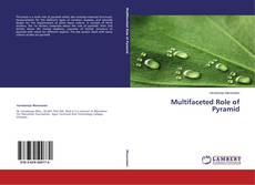 Copertina di Multifaceted Role of Pyramid