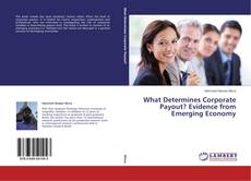 Buchcover von What Determines Corporate Payout? Evidence from Emerging Economy
