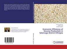 Economic Efficiency of Sesame Production in Selamago District Ethiopia kitap kapağı