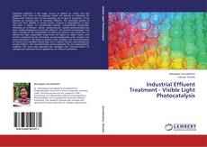 Copertina di Industrial Effluent Treatment - Visible Light Photocatalysis