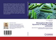 Copertina di Rhizosphere Microbial Dynamics in Aerobic paddy cultivation