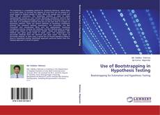Buchcover von Use of Bootstrapping in Hypothesis Testing