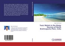 Couverture de Toxic Metals in the Water Sources of North Brahmaputra Plain, India