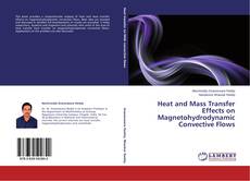 Heat and Mass Transfer Effects on Magnetohydrodynamic Convective Flows的封面