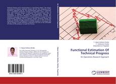 Buchcover von Functional Estimation Of Technical Progress