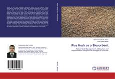 Copertina di Rice Husk as a Biosorbent