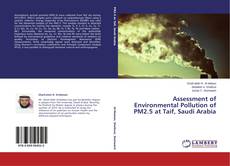 Assessment of Environmental Pollution of PM2.5 at Taif, Saudi Arabia kitap kapağı