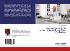 Обложка Energy Economics in Instant- Pounded yam Flour Production
