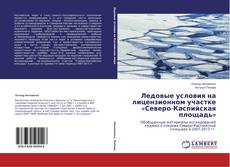 Buchcover von Ледовые условия на лицензионном участке «Северо-Каспийская площадь»