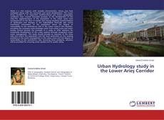 Buchcover von Urban Hydrology study in the Lower Arieş Corridor