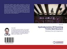 Couverture de Hydrodynamics Of Foaming Trickle Bed Reactors