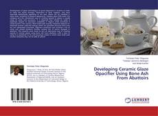 Couverture de Developing Ceramic Glaze Opacifier Using Bone Ash From Abattoirs