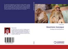 Copertina di Assamese macaque