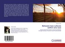 Buchcover von Between two cultures within one race