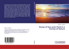 Couverture de Dump of Gas onto Fluid in a Variety of Nature